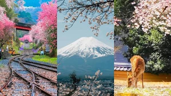Japan